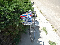 beer in bicycle basket