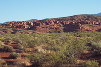 Desert view along Red Hills Parkway